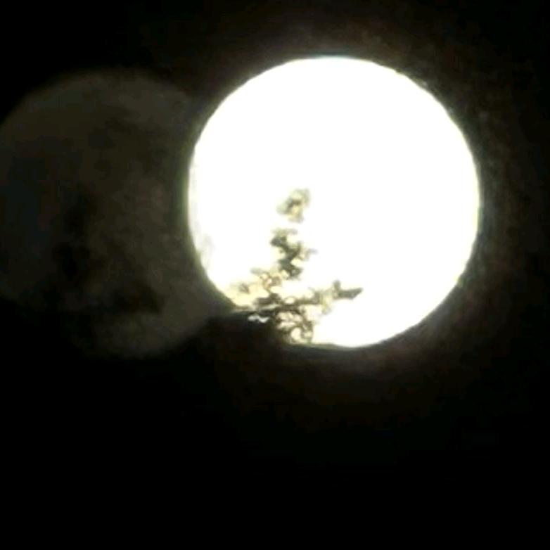 🍹微笑🧞‍♀️