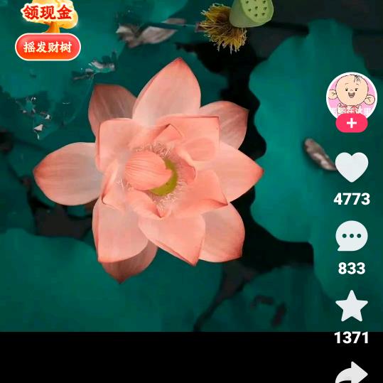 来与不来都等你