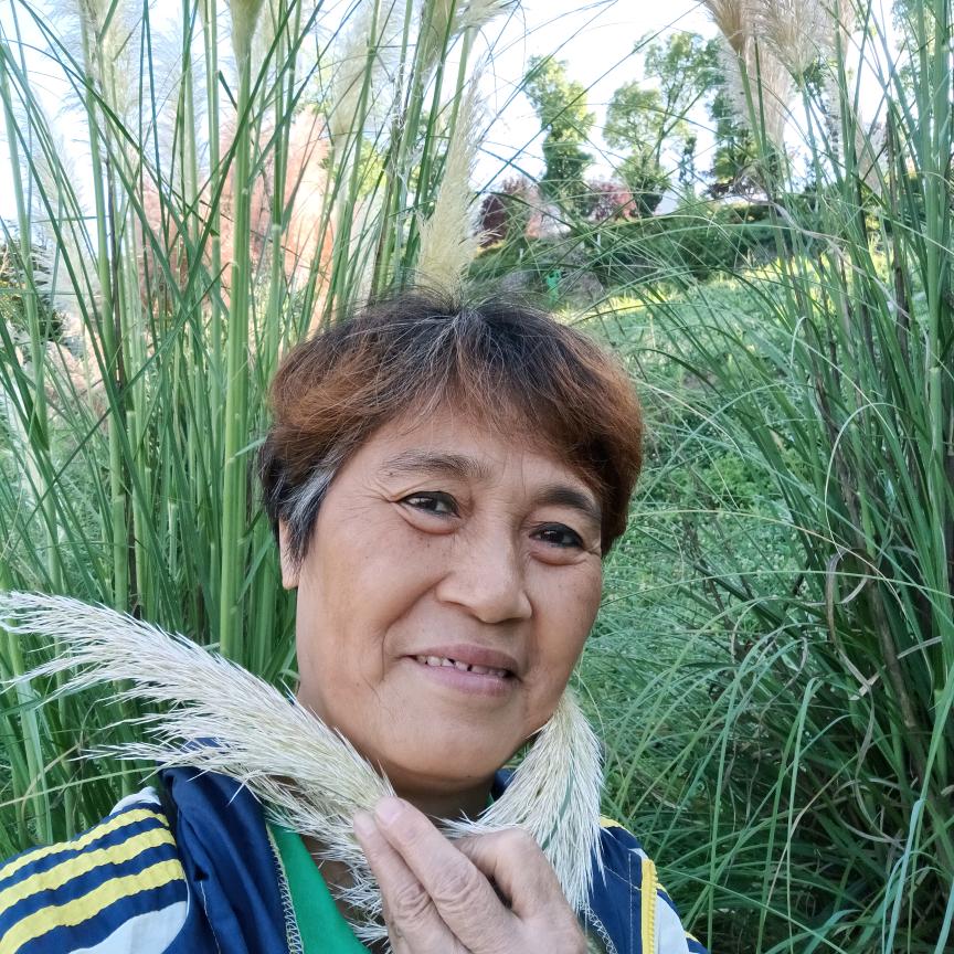 草莓果子