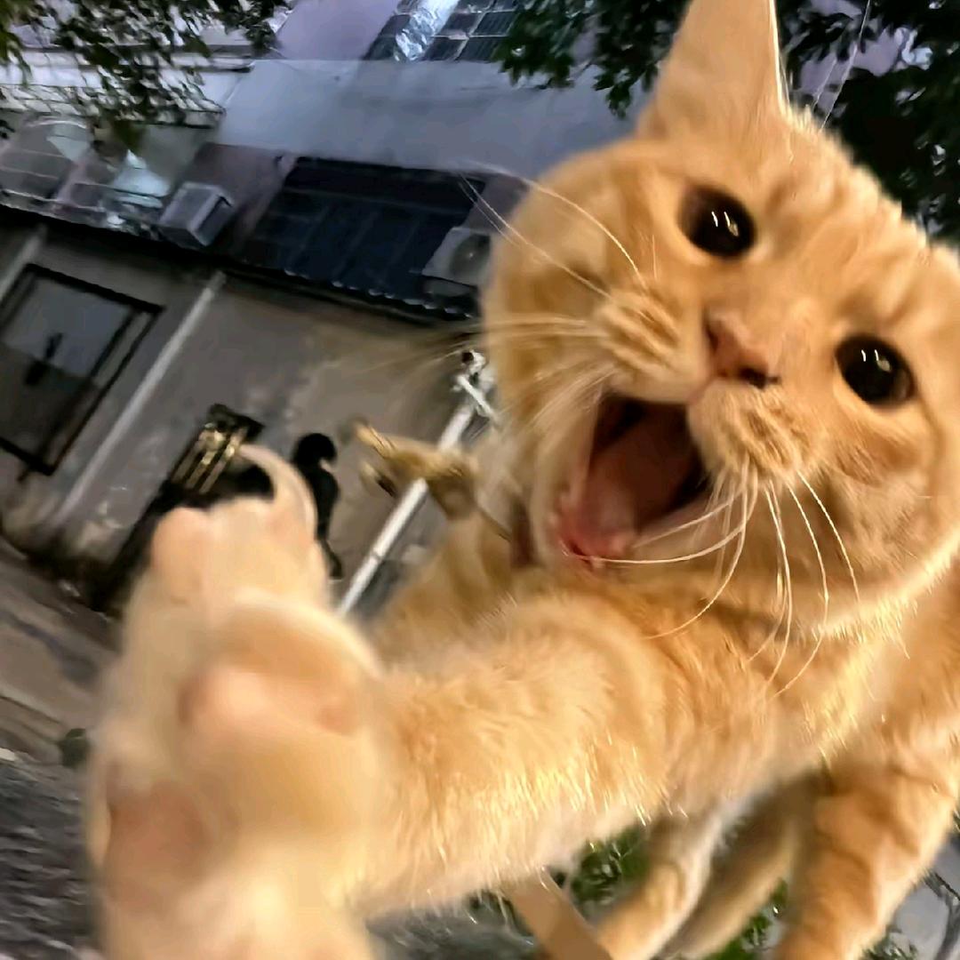 矿泉水（开水版）