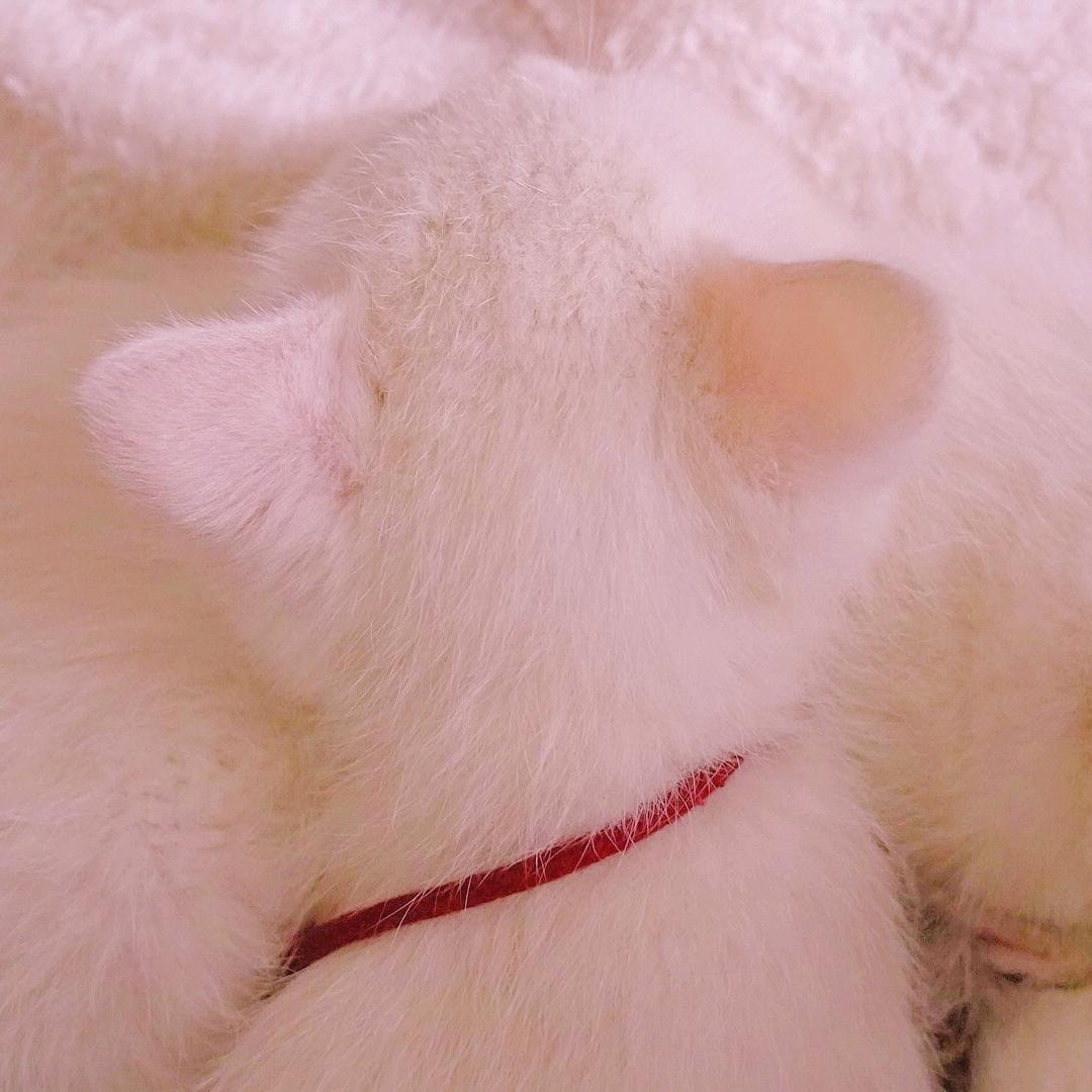 小黑天
