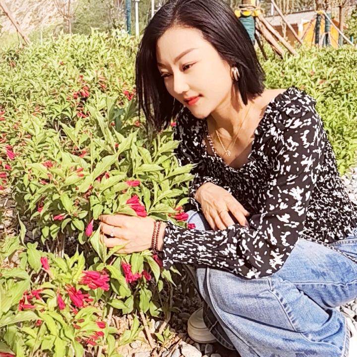 不了了之（橱窗有好物）