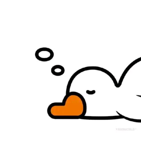 用户6462373711804，