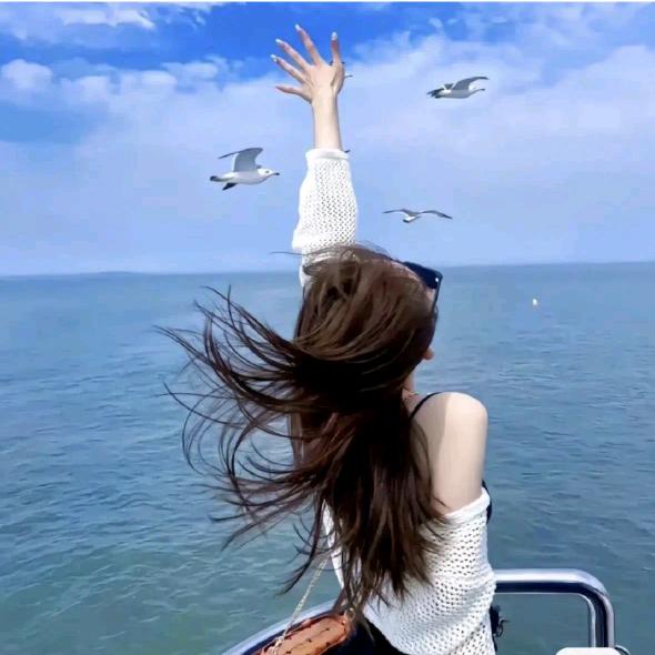 星辰大海