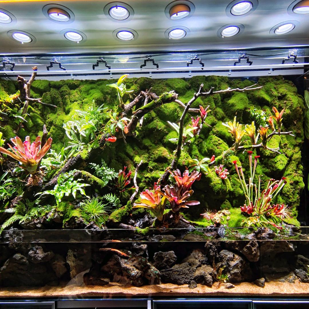 大自然的搬运工