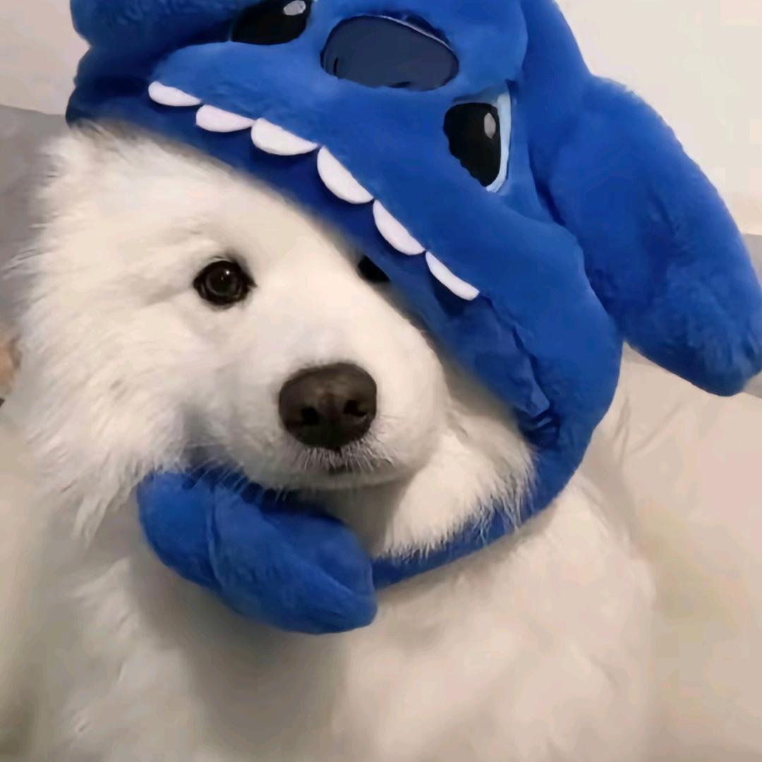 阴天
