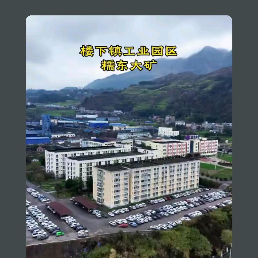 春雨灿乐蓉