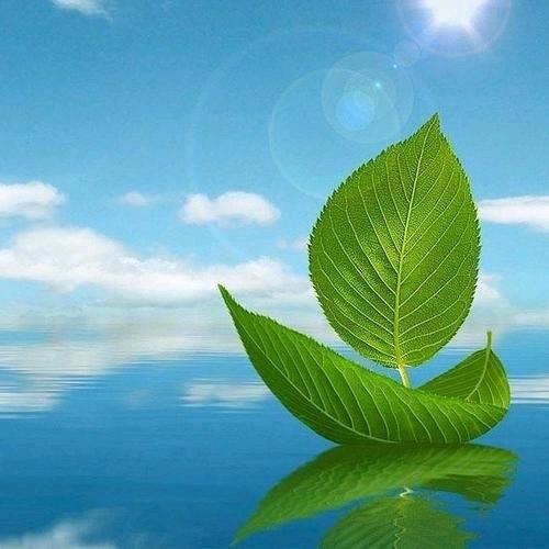 易梦星河