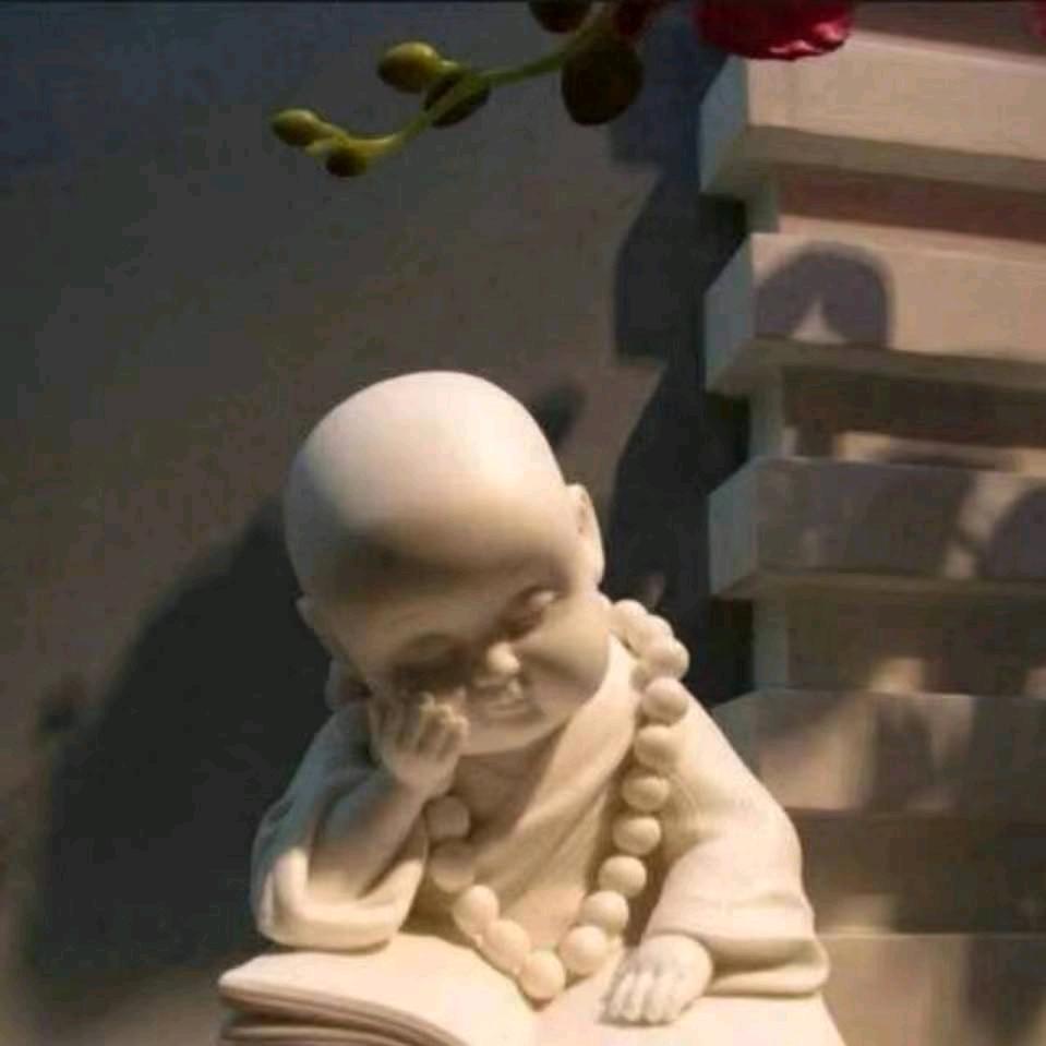 锦鲤