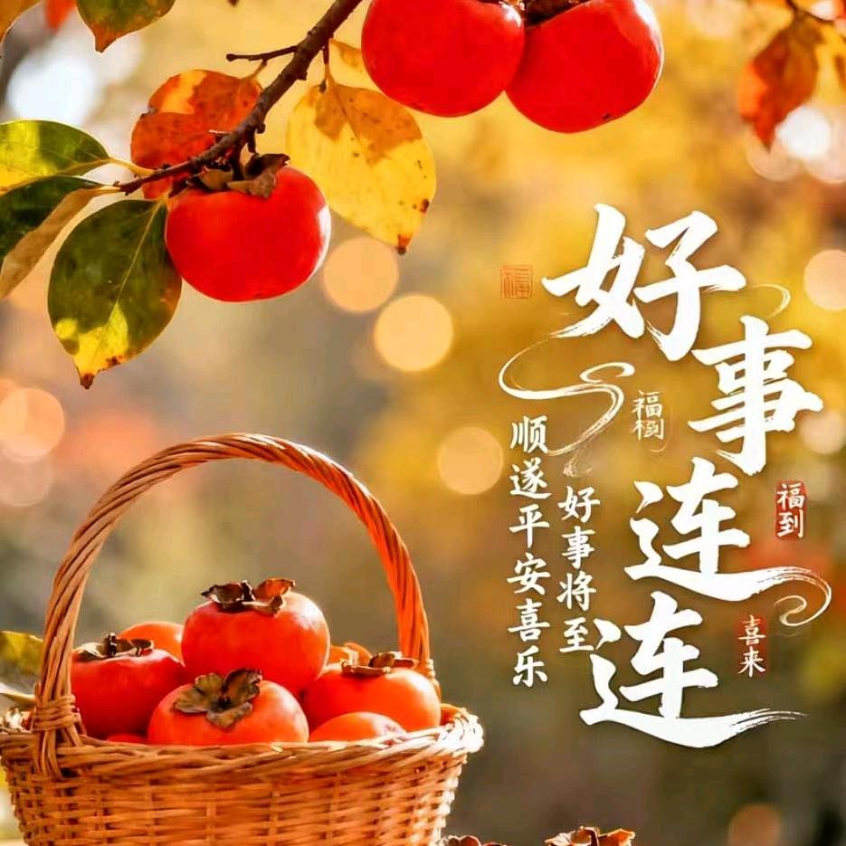 净土1013