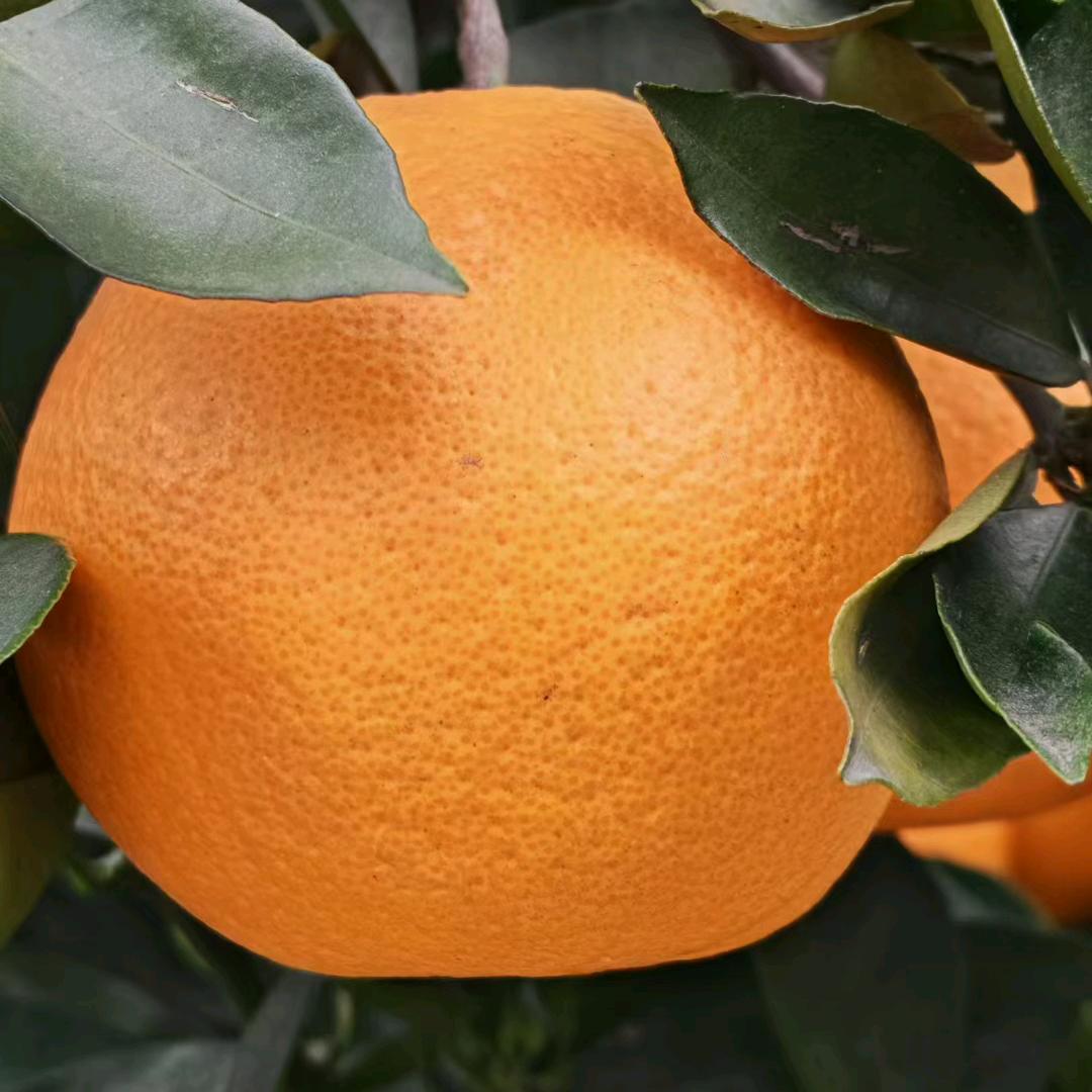 ༄℘⃝笑℘⃝着℘⃝退℘⃝场࿐