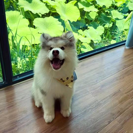 沐光