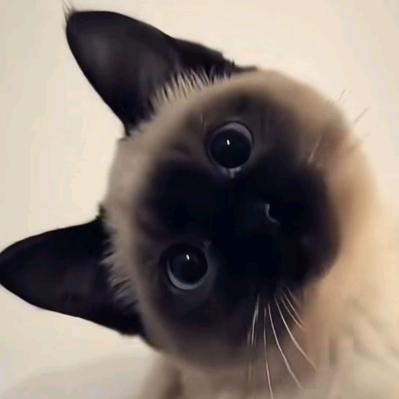 月盛ᯠ  _   ̫  _ ̥ ᯄ ੭