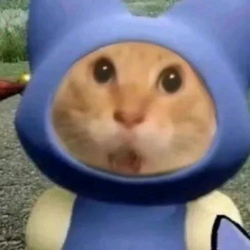 苏捎