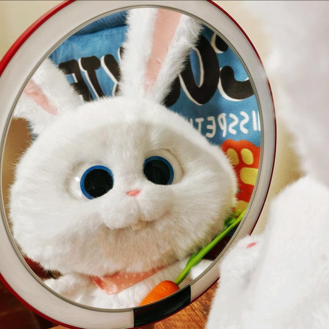 Rabbit-兔织.工作室