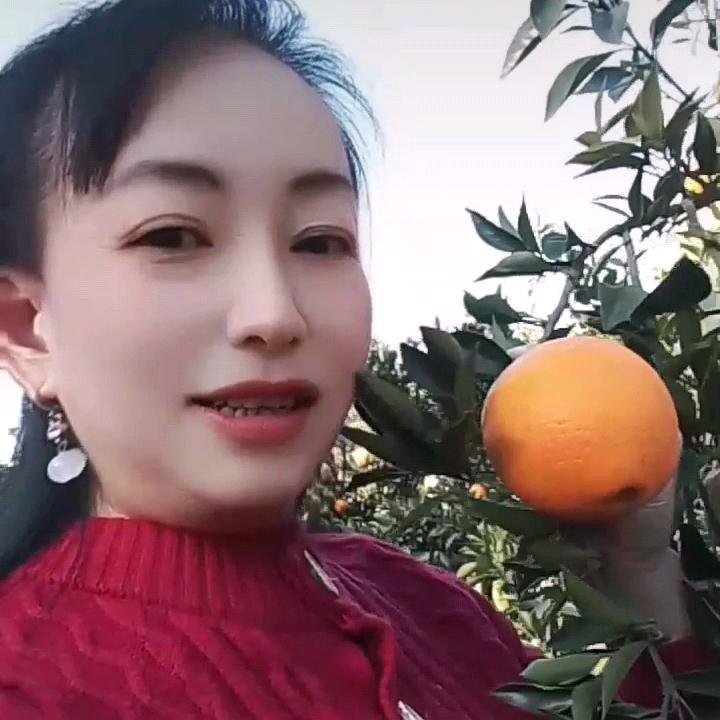 杨你一生
