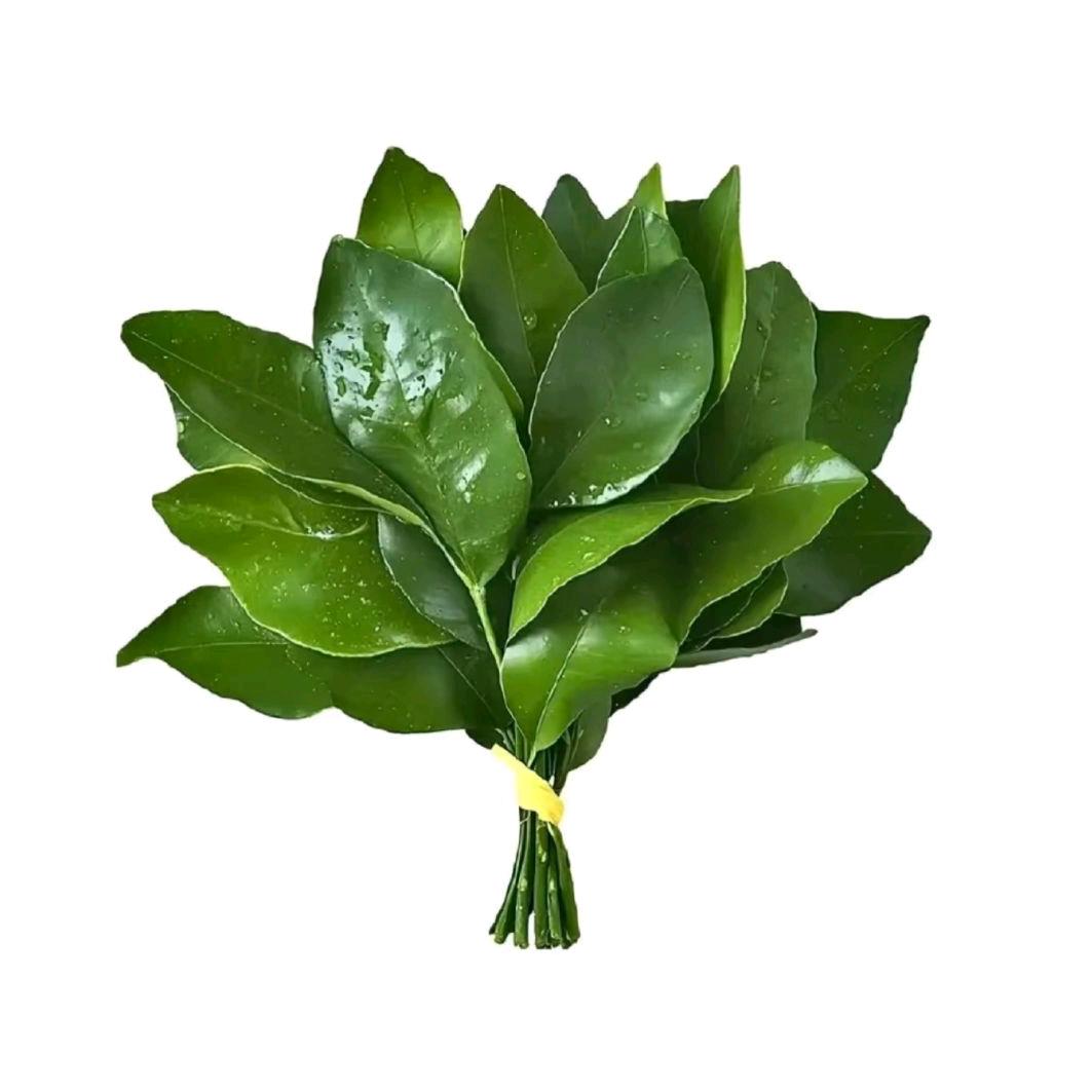 匕匕