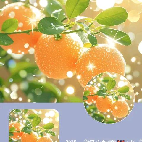 家有洋航
