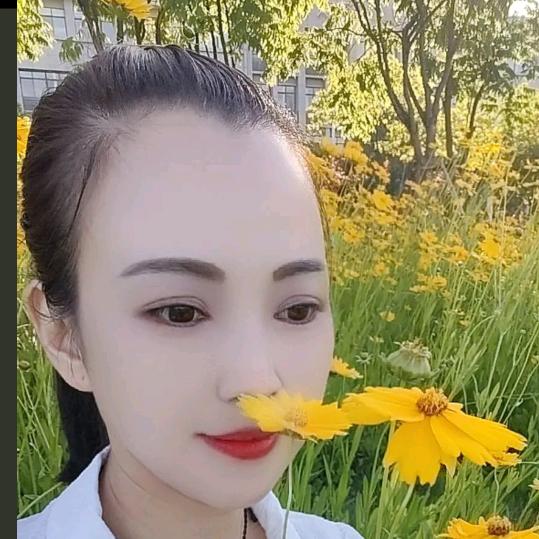 晏二姐