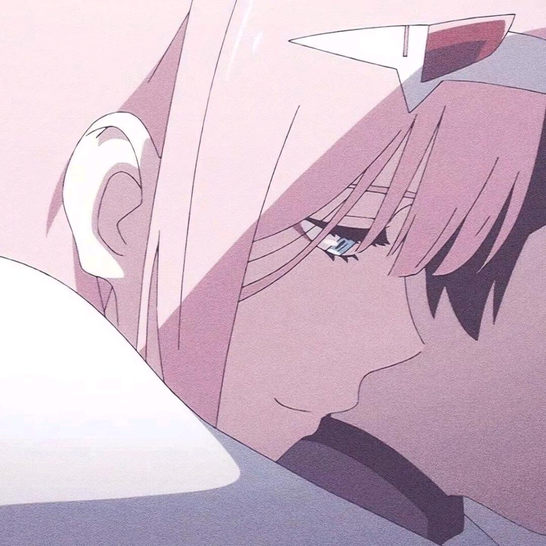 鹤望兰