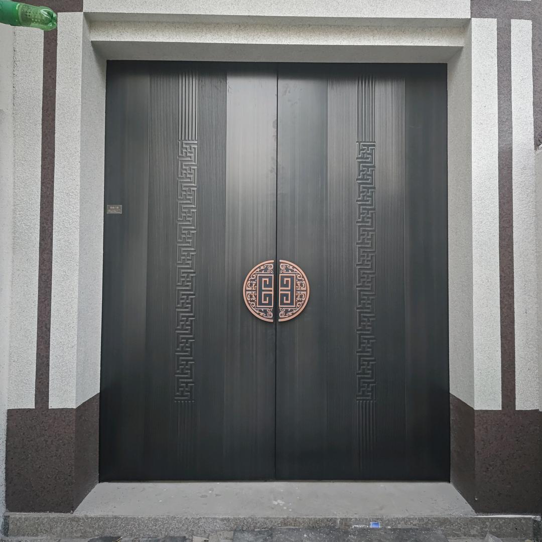 （国才）专业做大门