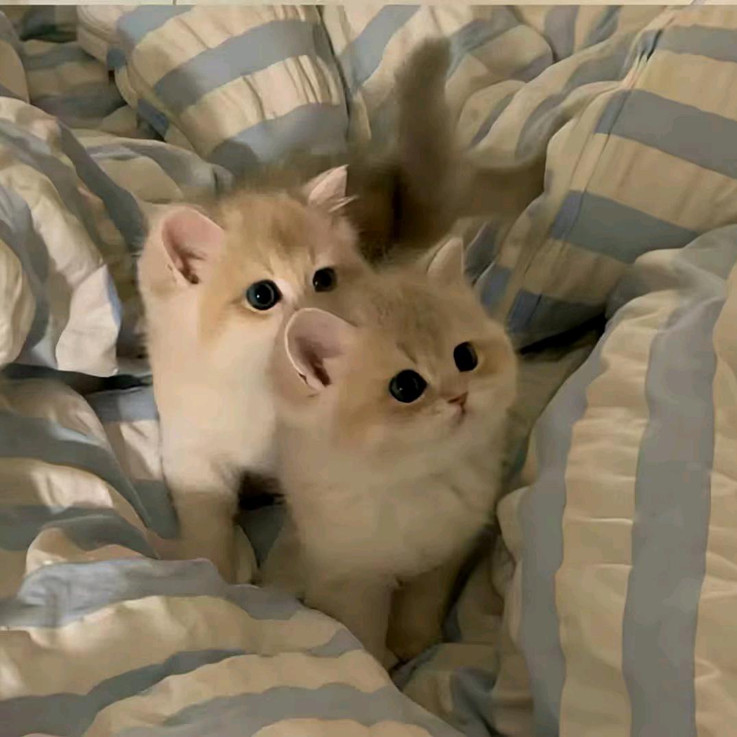 O(∩_∩)O☞迷忙的心☜♥