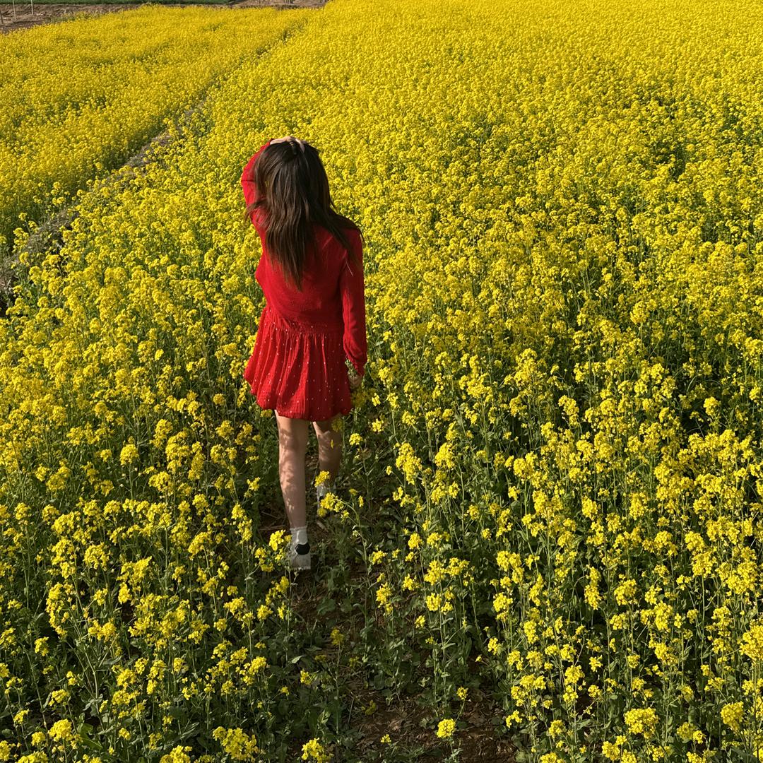好吃😋的🍬糖果