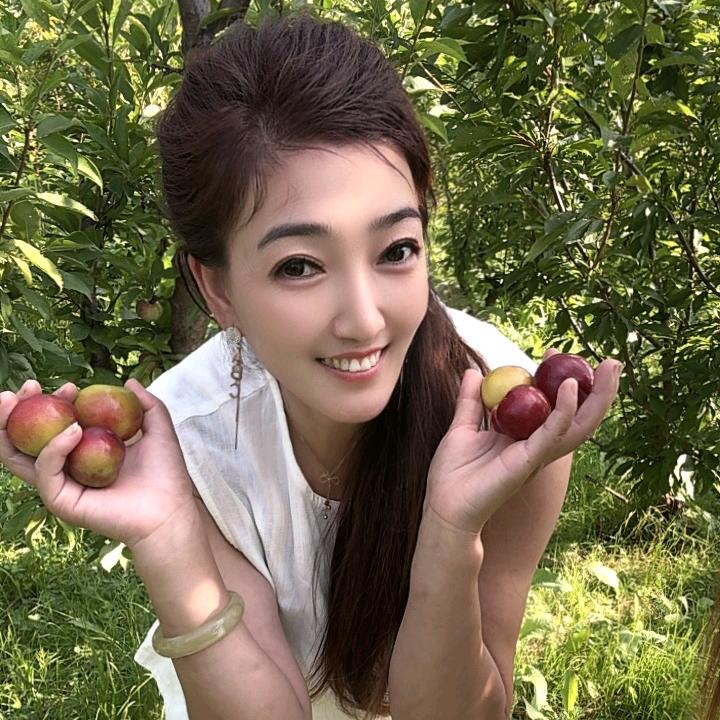 小燕子