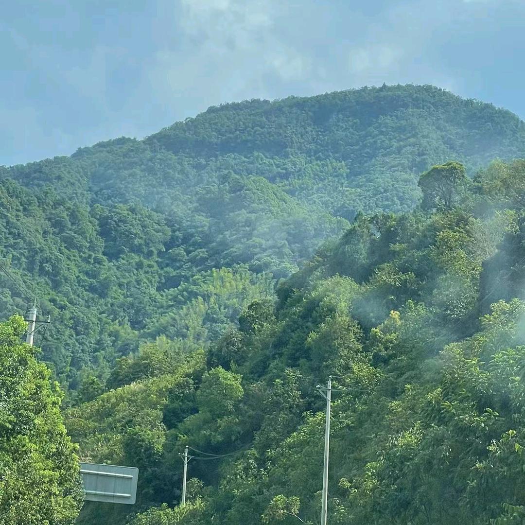 独留清风醉