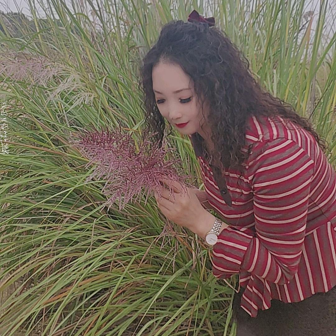 霞霞～紫罗兰家纺