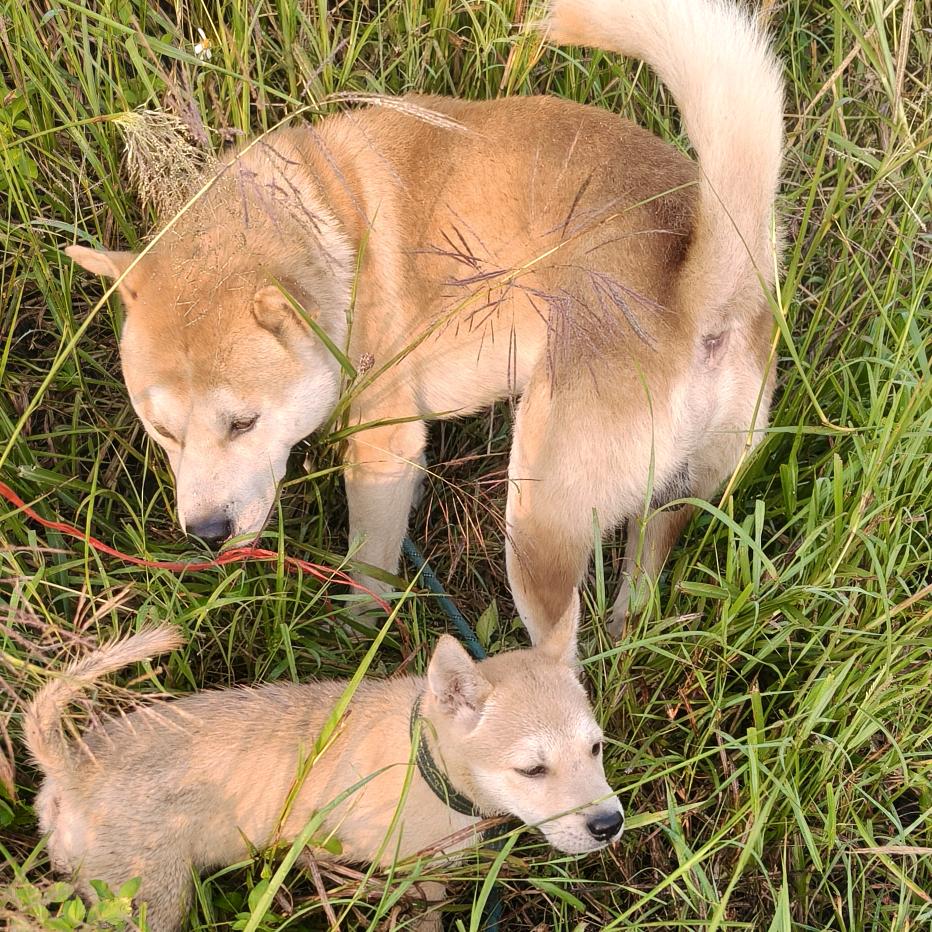 我不娇气，我只依赖