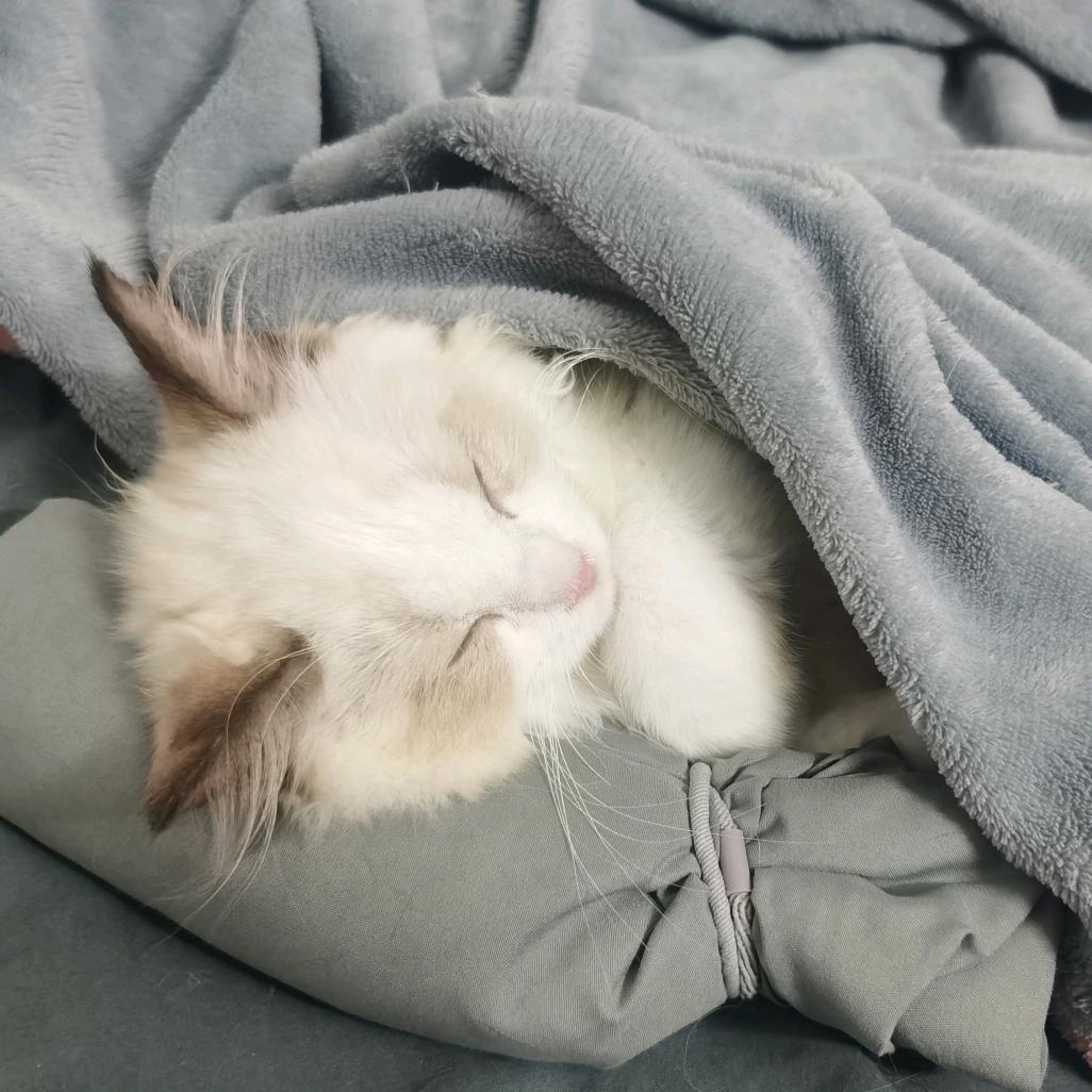 区区黄金万两白银等等