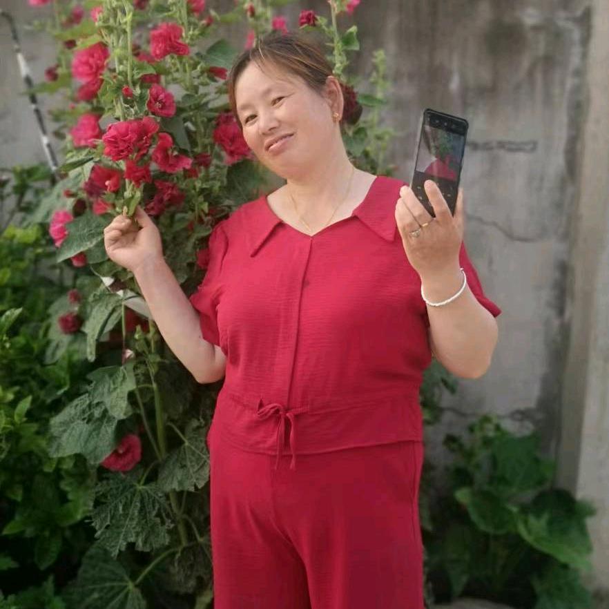 太阳花