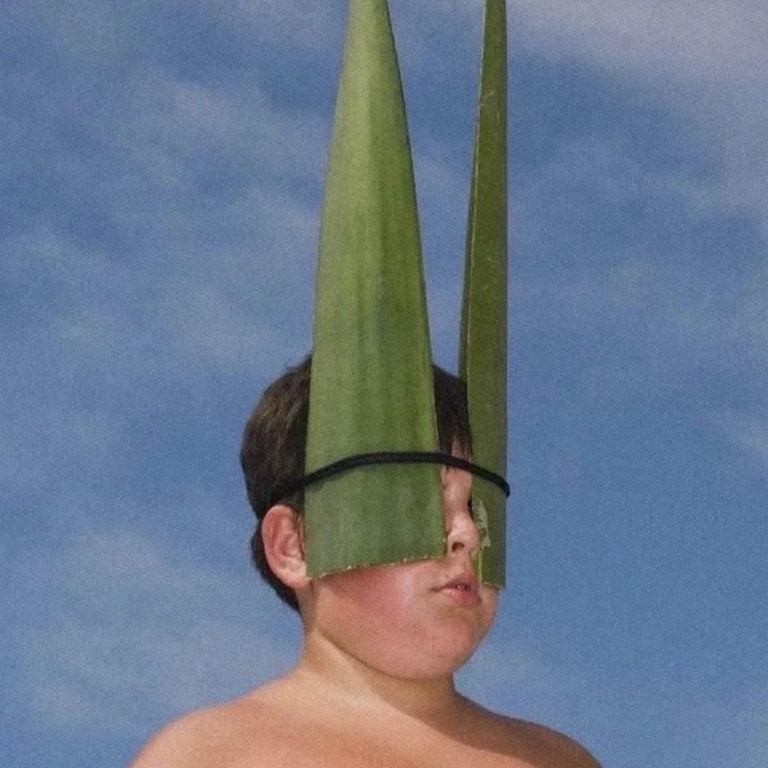 星～🌵