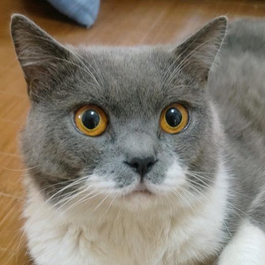 🌟种草情报局📣