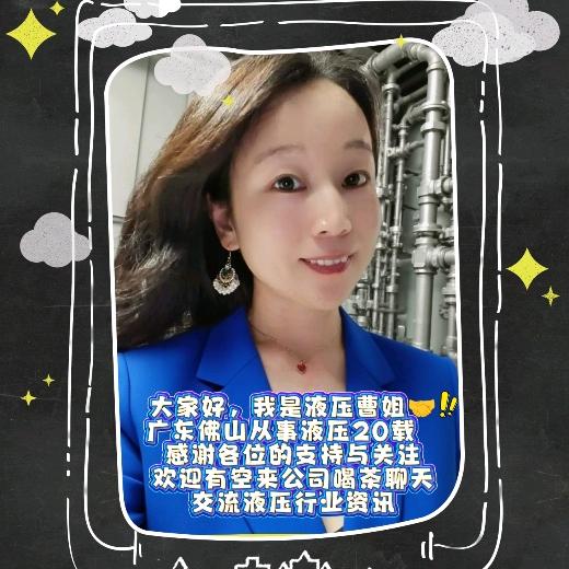 曹姐专注液压