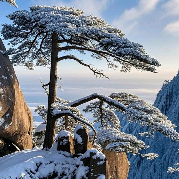 张雪松（重庆齐源公司）普货，大件运输