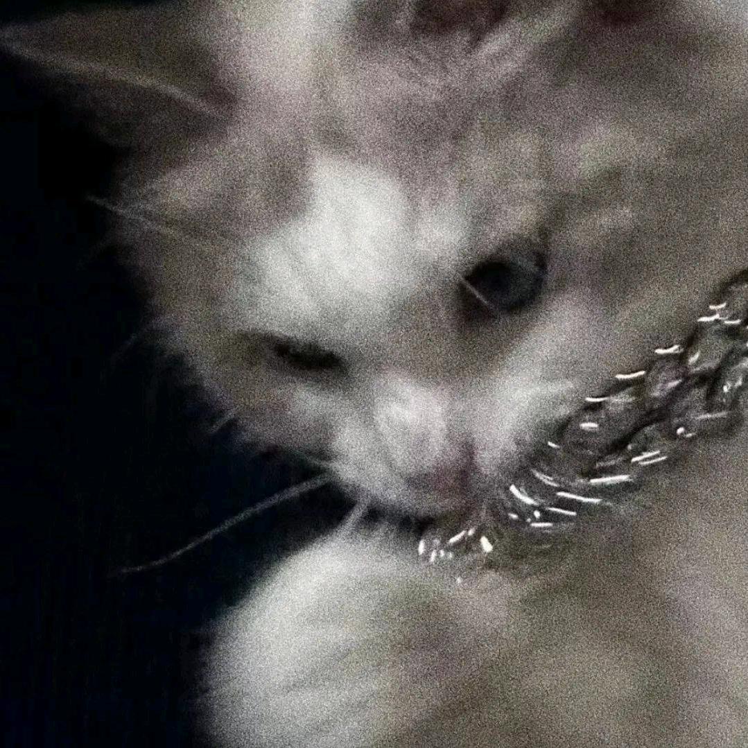 Tin