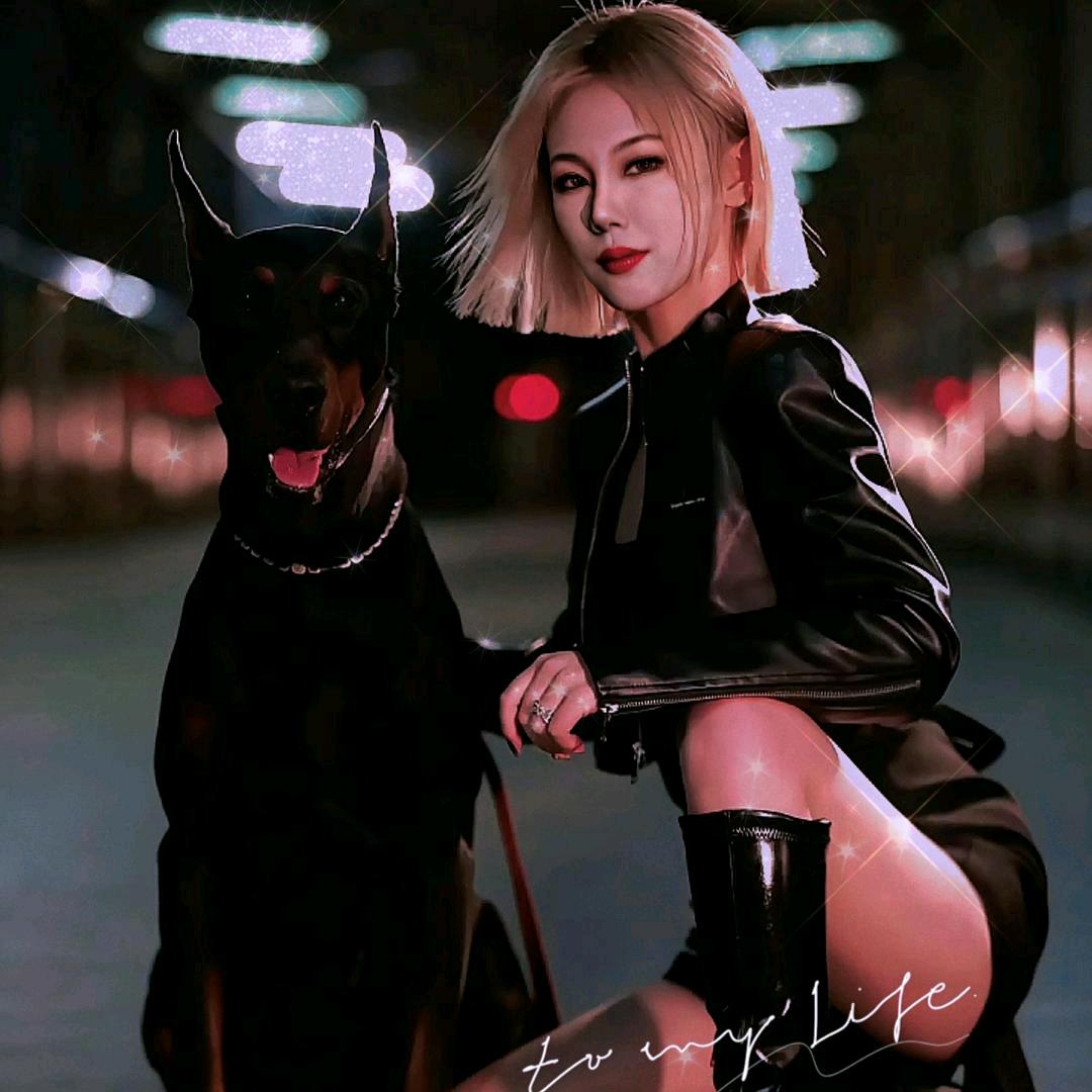 🎆🔮藏獒的脾气谁会懂🔮🎆