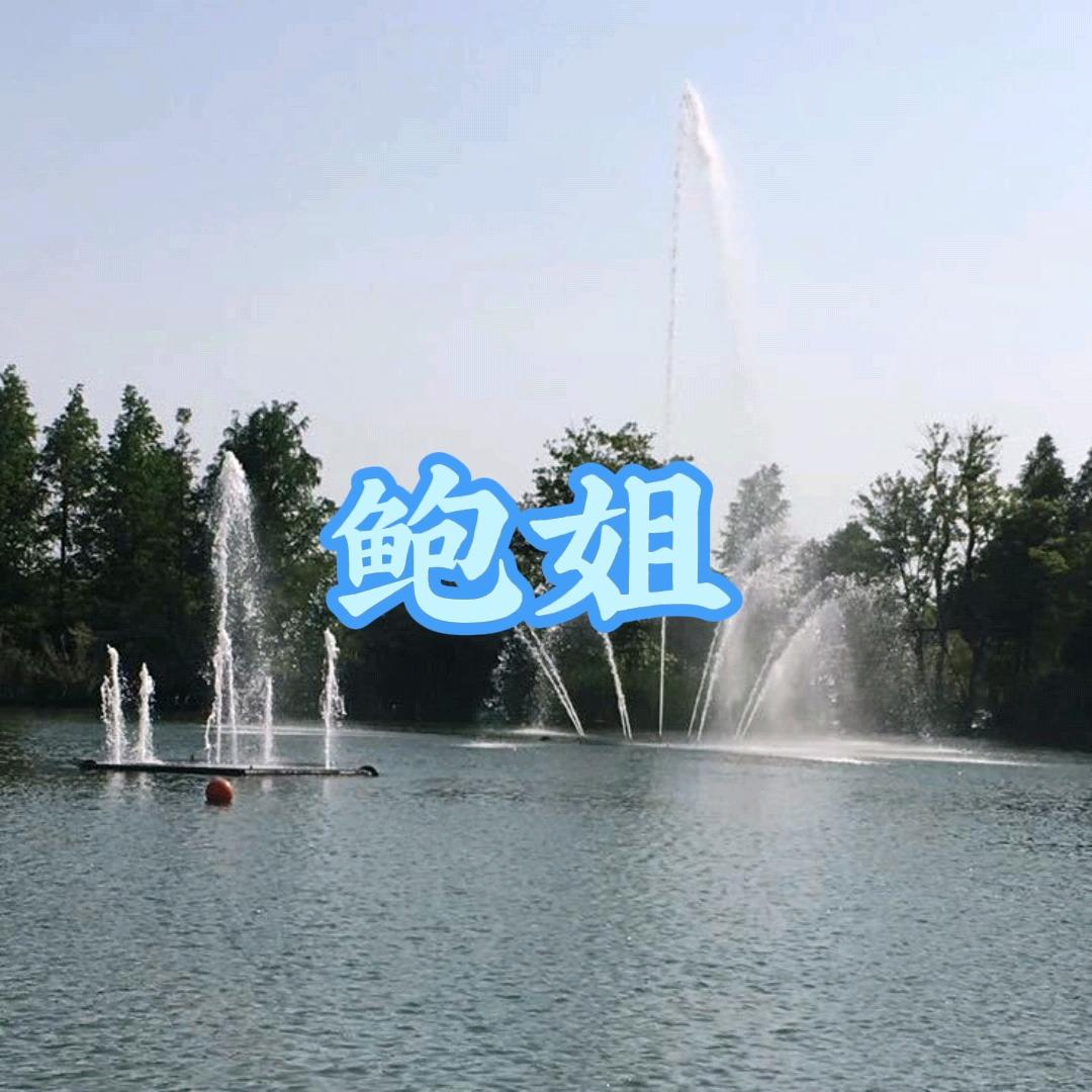 鲍姐