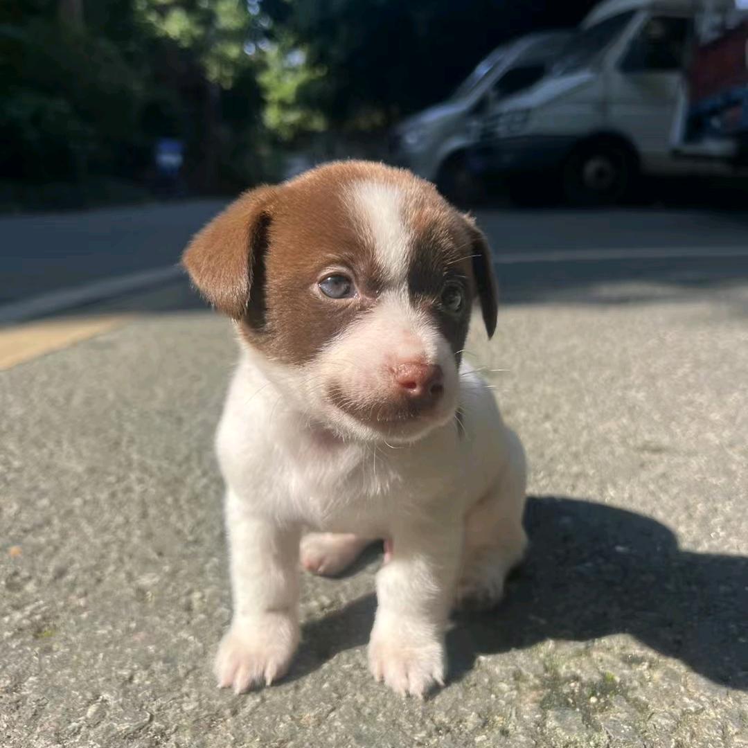 与其偷摸发烂，我要给世界带来噪音
