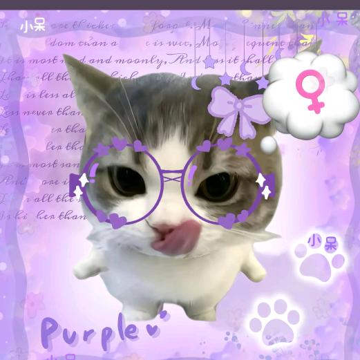 ʕ ᵔᴥᵔ ʔ删除记忆