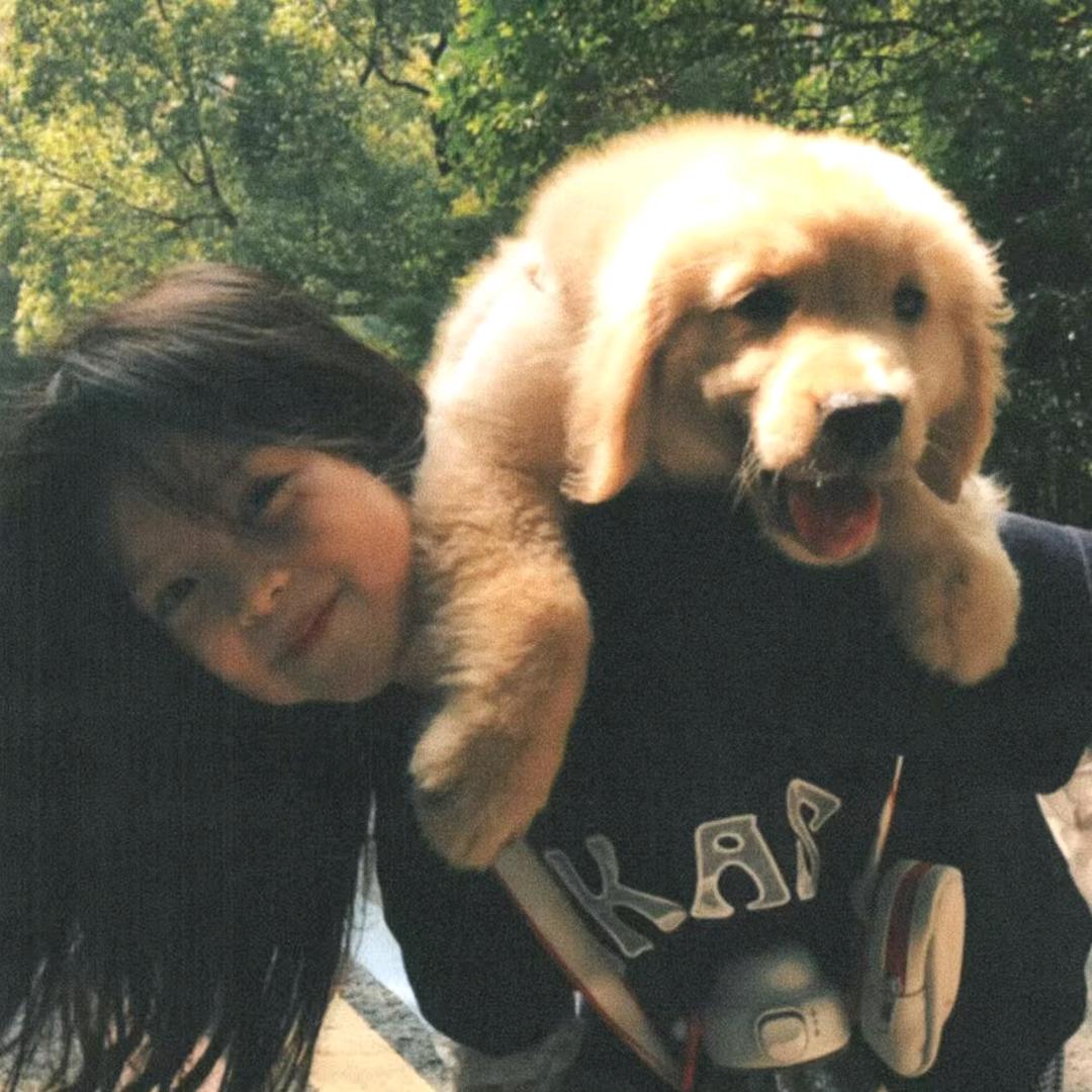痴槑僮