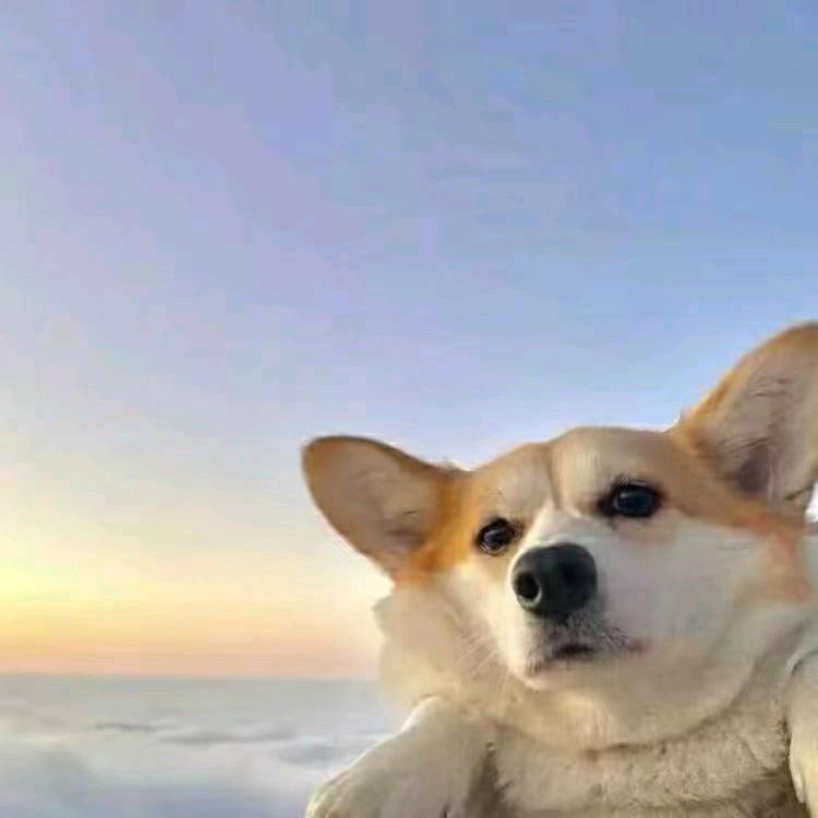 啊这