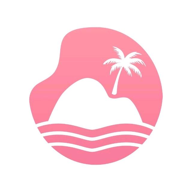 爱岛科技
