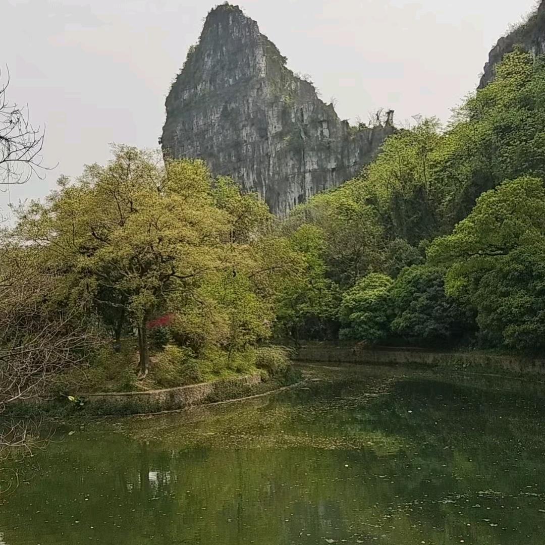 木沐爱剪辑😎车迷