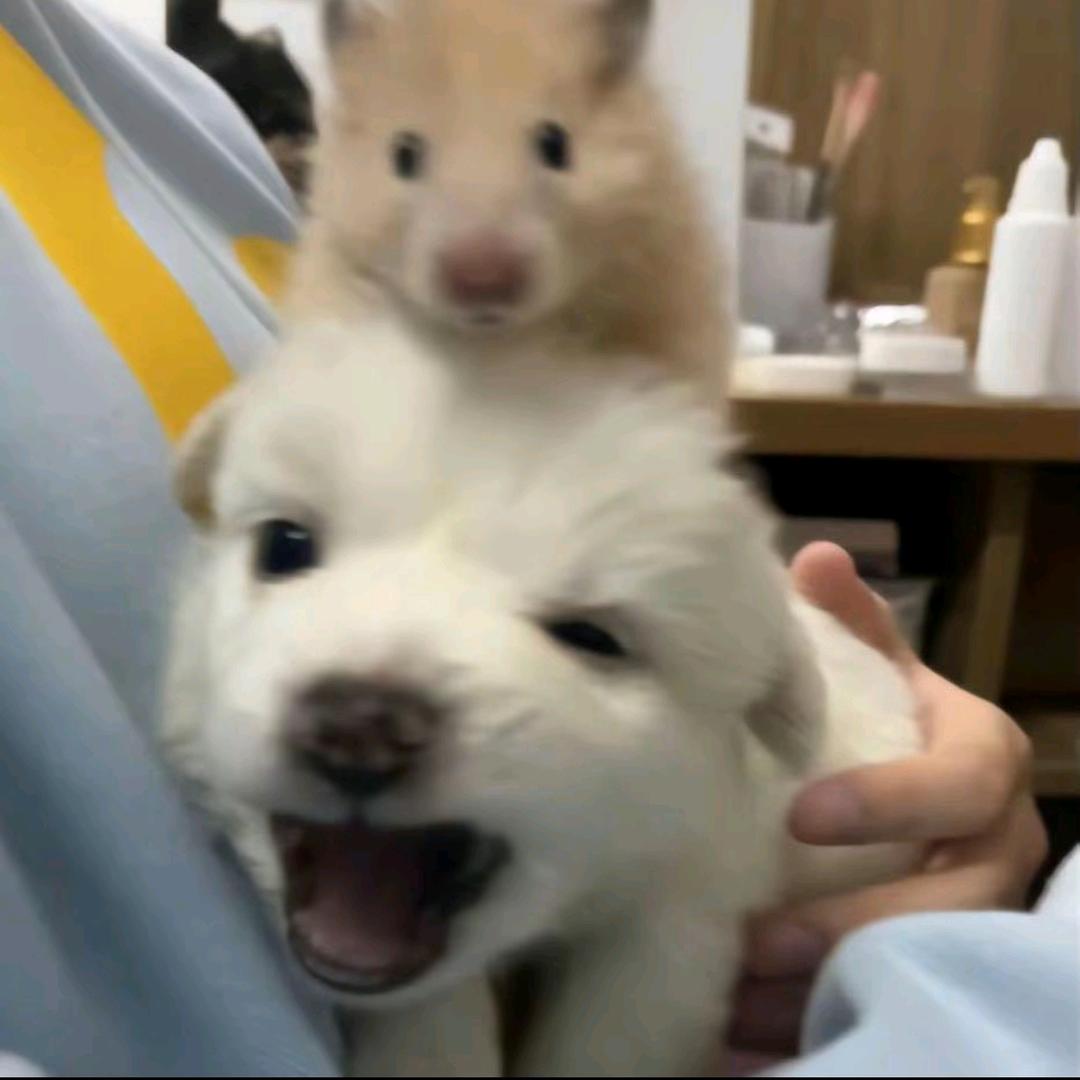 下次见…