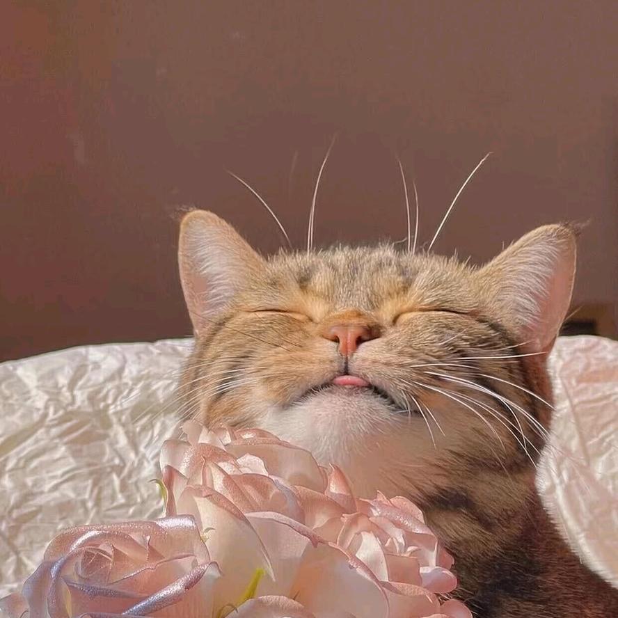 雾散(◦˙▽˙◦)