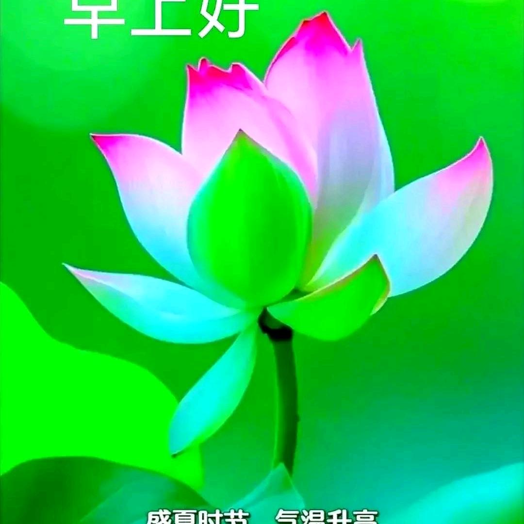 玺林