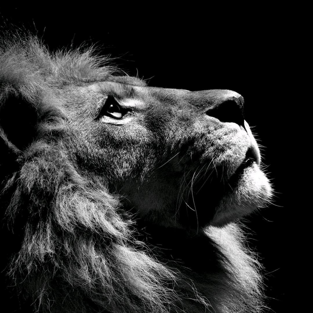 再创蔬业发展🥬